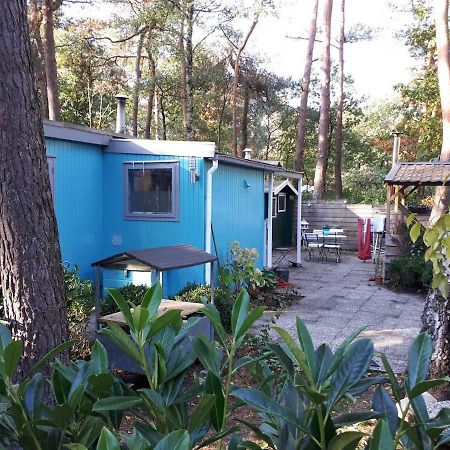 Boshuis Turquoise / Smaakvol Genieten Op De Veluwe Гундерло Екстер'єр фото