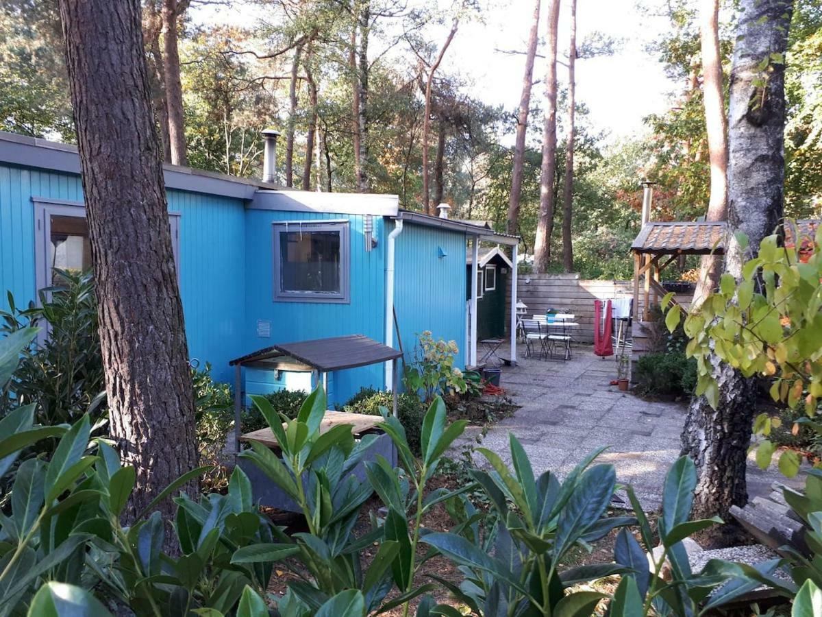 Boshuis Turquoise / Smaakvol Genieten Op De Veluwe Гундерло Екстер'єр фото