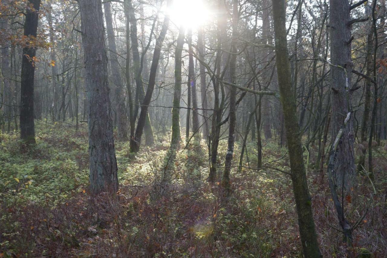Boshuis Turquoise / Smaakvol Genieten Op De Veluwe Гундерло Екстер'єр фото