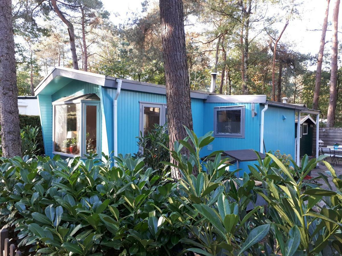 Boshuis Turquoise / Smaakvol Genieten Op De Veluwe Гундерло Екстер'єр фото